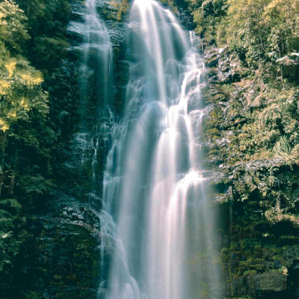 A waterfall is shown with trees in the background.